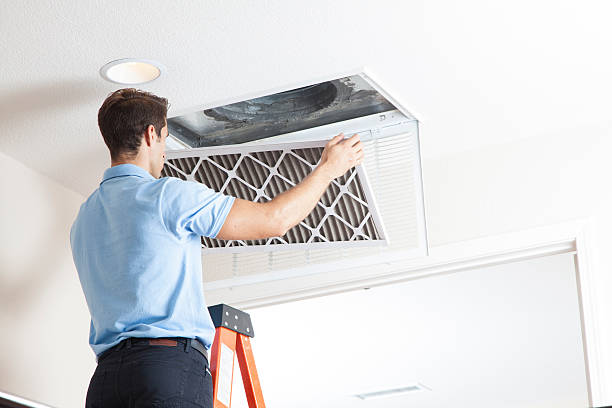 Air Quality (IAQ) Inspection