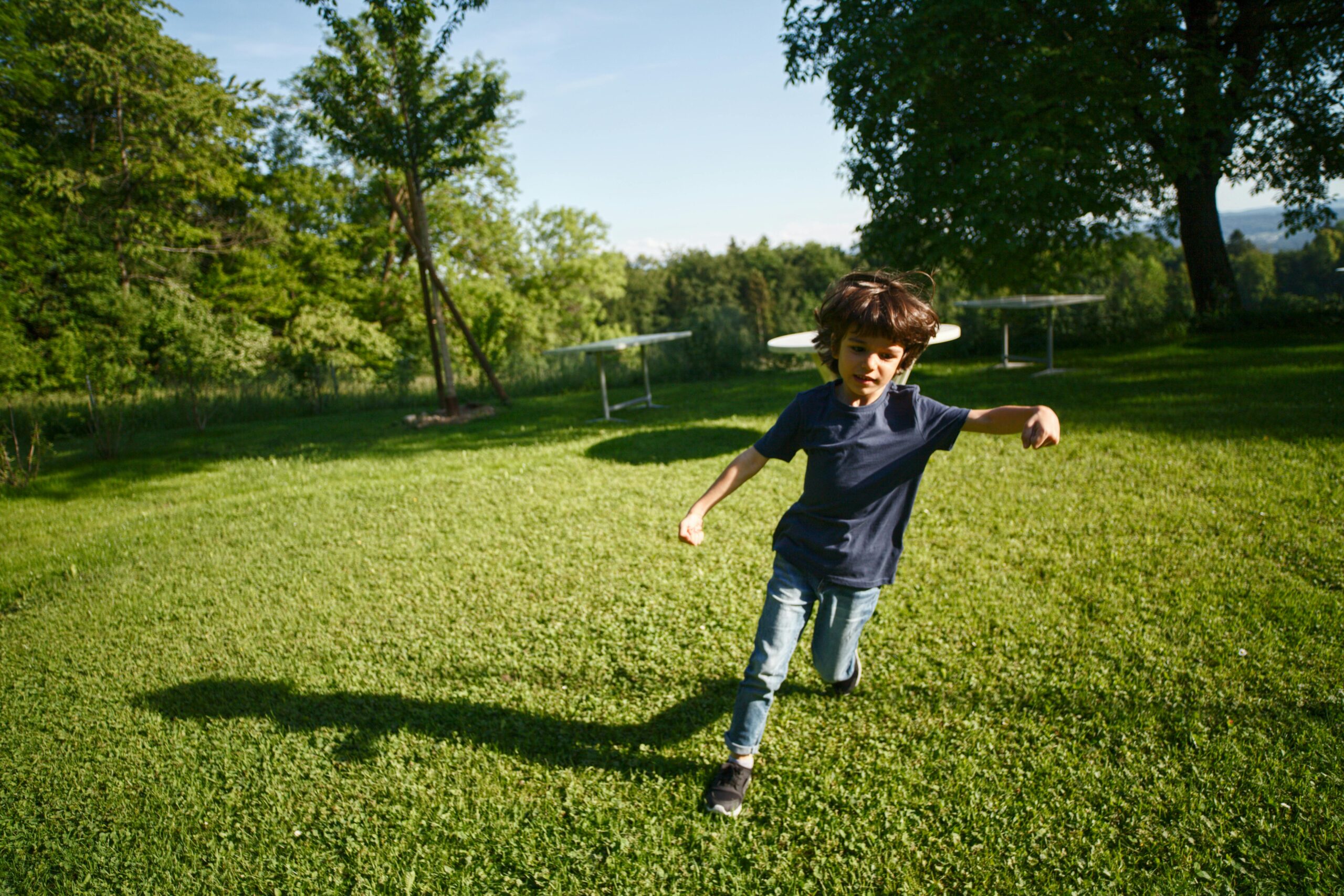 Summer Home Maintenance: Top 3 Services of the season