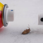 Insect poisoned by an insecticide. Insecticide spray cans